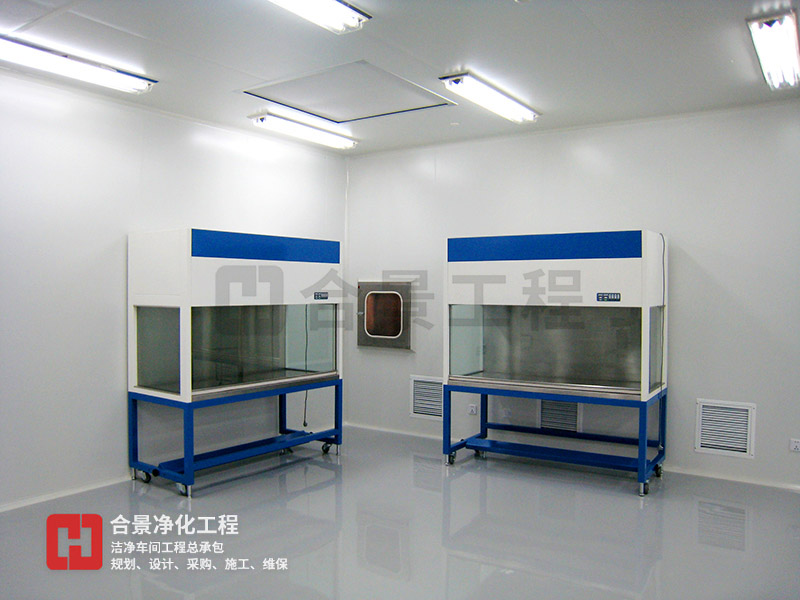 廣東某生物制藥公司無(wú)菌潔凈工程裝修施工案例